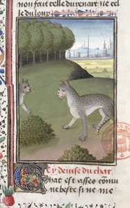 Vilda katter, från jaktboken av Gaston Phebus de Foix (1331-91) av French School