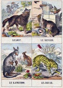Varg; Räv; Känguru ; Jaguar. Gravyr i "Buffon Alphabet des Animaux". 3:e serien N 1. Avbildning av Epinal, Epinal, sent 1800-tal. 16 sidor. Mått: 28x21cm av French School
