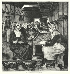 Kvinnor som förbereder sardiner (gravyr) av French School
