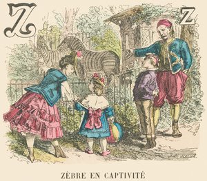 Z: Zebra i fångenskap av French School