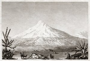 Chimborazo vulkan. (gravyr, ca 1840)