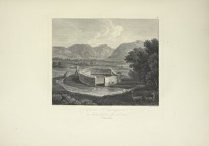 Ynca-Chungana, från Inkaträdgården nära Canar, tecknad av Gmelin, graverad av Morel, illustration från 