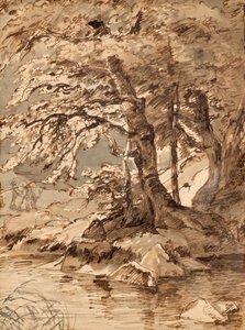 trädstudie av Friedrich August Mathias Gauermann