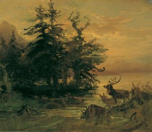 Vallande rådjur på stranden av en fjällsjö