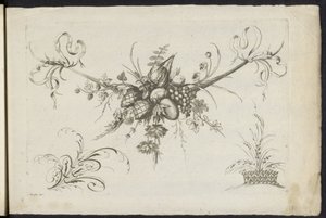 Festool van vruchten, bladeren och bloemen Annan ny festong av blommor och frukter (serietitel) av Friedrich Jacob Morisson