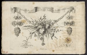 En annan ny festong av blommor och frukter av Friedrich Jacob Morisson