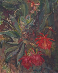 Blommande kaktusar av Friedrich Radler
