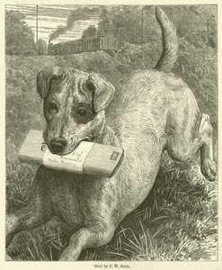 Hund (gravyr)