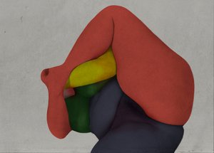  av Fuyuki Hattori