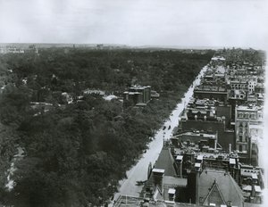 Fifth Avenue, tittar norrut från taket på Metropolitan Club på 61st Street, New York City, ca 1904