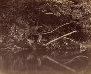River Bank i Vale of Neath, ca. 1855. av G. B. Gething