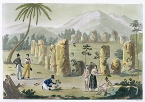 "House of the Ancients", ön Tinian, tavla 31 från "Le Costume Ancien et Moderne" av Jules Ferrario, publicerad på 1820-30-talen (se även 206893).
