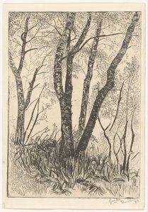 Träd i högt gräs av G. van der Mey (signed by artist)