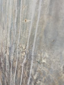  av Gabriela Aleksandra Szuba