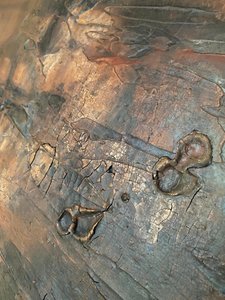  av Gabriela Aleksandra Szuba