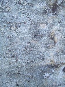  av Gabriela Aleksandra Szuba