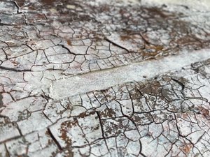  av Gabriela Aleksandra Szuba