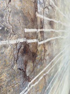  av Gabriela Aleksandra Szuba