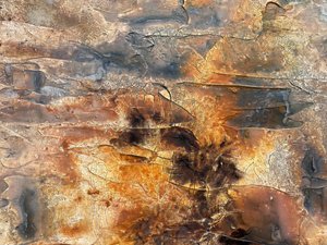  av Gabriela Aleksandra Szuba