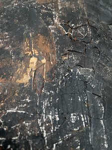  av Gabriela Aleksandra Szuba