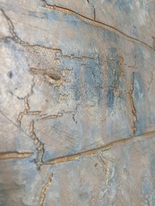  av Gabriela Aleksandra Szuba