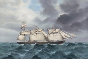 Clipperfartyget "Blackadder" till havs med trasig fock- och stormast