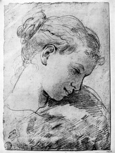 Studie av ett flickhuvud, 1700-talet 1933. av Gaetano Gandolfi