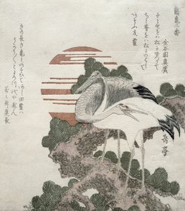 Crane (Tsuru) från serien 2 designs av Cranes and Turtles, 1818-30 (träblocksgravyr)