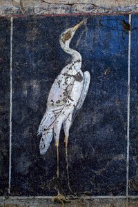 Romersk väggmålning av Gallo-Roman