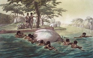 Gingri Tribesmen Crossing the River Zebee, skylt 67 från 