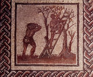 Gallo Roman Art: mosaikbeläggning som representerar en rustik kalender. Olivplockningsscen. Slutet 2:a, början av 300-talet efter JC. Från Saint-Romain-en-Gal (Rhone). Saint Germain en Laye, Nationalmuseet för arkeologi av Gallo Roman