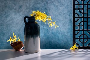 Elegant Forsythia Still Life