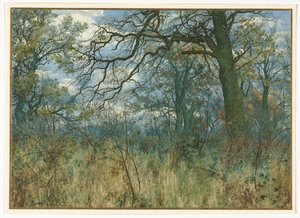 Träd och undervegetation, 1885. av Garden William Fraser