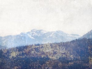 Misty Mountain-skogen av Gemma Bardot