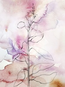 Rosa akvarellmålning med botaniska motiv av Gemma Bardot