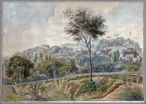 Landschaft in La Reunion