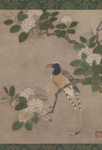 Skata på Viburnum Branch, tidigt 1500-tal. av Genga