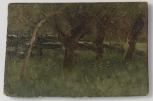 Fruktträdgård