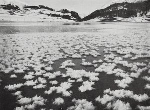 Schweiz