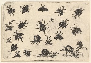Små motiv av insekter och växter, 1596. av Georg Herman