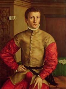 Porträtt av en ung man, 1544