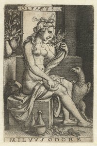 Lukt (Olfactus) Olfatvs milvvs odore (titel på objekt) Five Senses (serietitel) av Georg Pencz