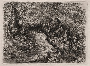 Den gamla pilen vid en bäck, 1794. av Georg von Dillis