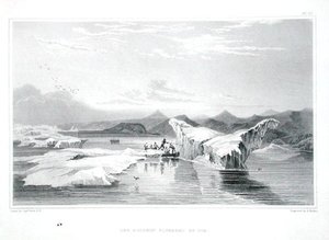 Delfinen pressad av is, från 