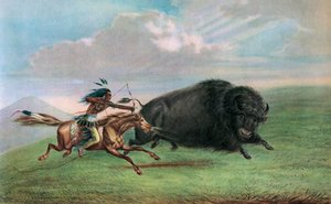 Tryck efter Buffalo Hunt av George Catlin, ca 1920 (screenprint) av George (after) Catlin