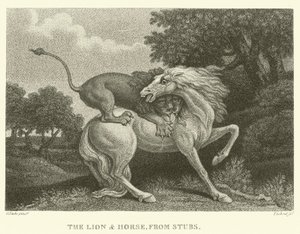Lejonet och hästen, från Stubs (gravyr)