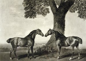 Två jägare, graverade av G.T. Stubbs (bap.1748-c.1815) (litho) (se även 266802)