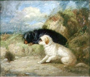 Terrier vid ett kaninhål