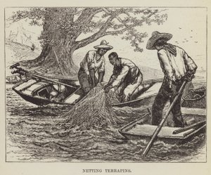 Nätterrapins av George Augustus Sala