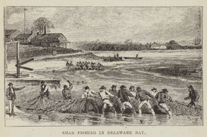 Shad Fishing i Delaware Bay av George Augustus Sala